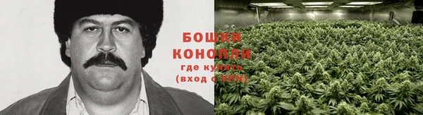 гидропоника Аркадак