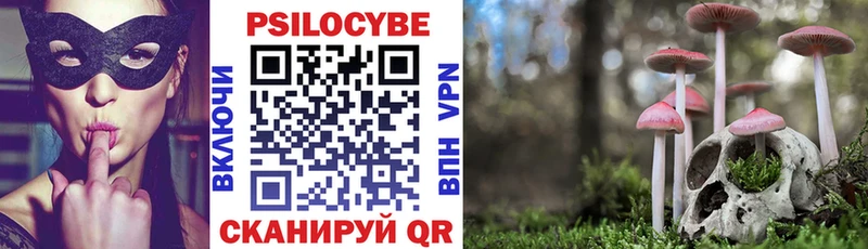 Галлюциногенные грибы Magic Shrooms Биробиджан