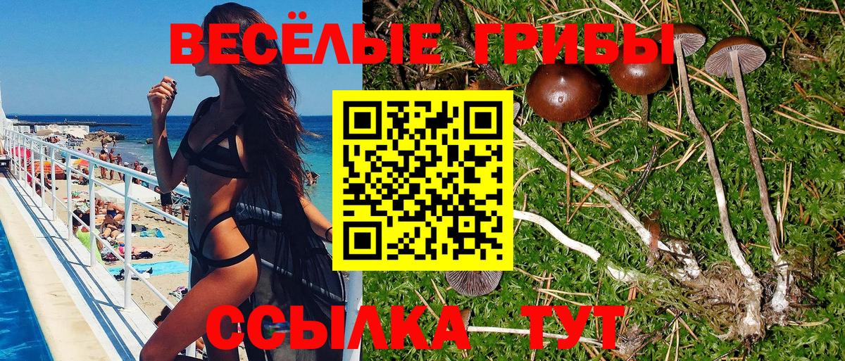Галлюциногенные грибы мухоморы  закладки  Биробиджан  Вход с VPN 